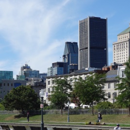 00420.JPG 00420.JPG