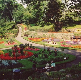 0009.jpg 0009.jpg