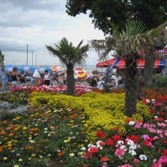 089.JPG 089.JPG