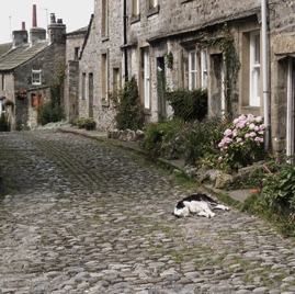 120.jpg 120.jpg