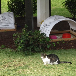 IMG_3189.JPG IMG_3189.JPG